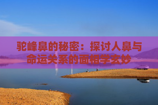 驼峰鼻的秘密：探讨人鼻与命运关系的面相学玄妙