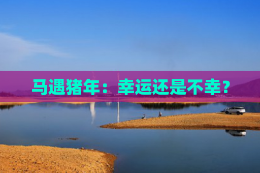 马遇猪年：幸运还是不幸？