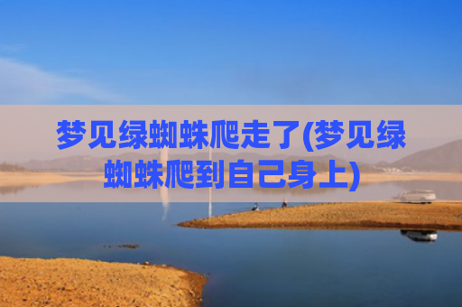 梦见绿蜘蛛爬走了(梦见绿蜘蛛爬到自己身上)
