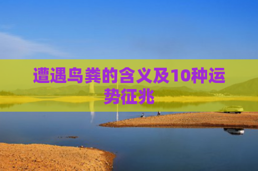 遭遇鸟粪的含义及10种运势征兆