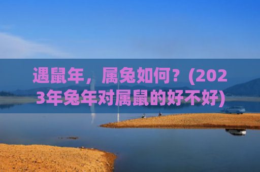 遇鼠年，属兔如何？(2023年兔年对属鼠的好不好)