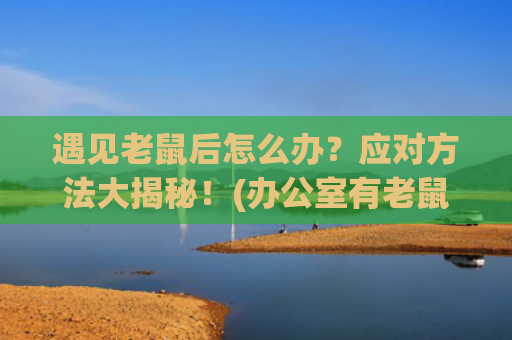 遇见老鼠后怎么办？应对方法大揭秘！(办公室有老鼠怎么办)