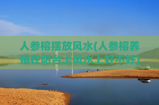 人参榕摆放风水(人参榕养殖在阳台上风水上好不好)