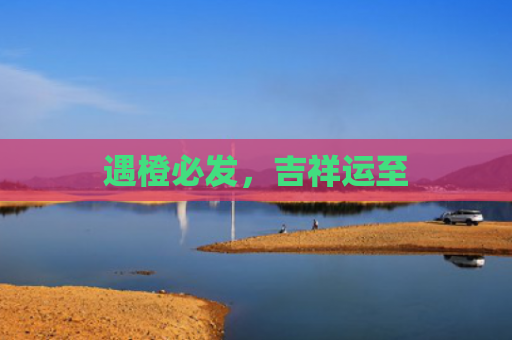 遇橙必发，吉祥运至