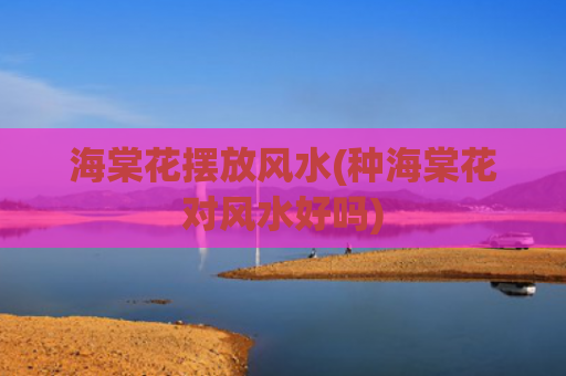 海棠花摆放风水(种海棠花对风水好吗)