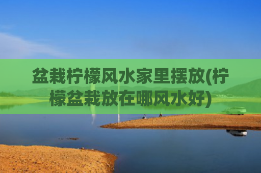 盆栽柠檬风水家里摆放(柠檬盆栽放在哪风水好)