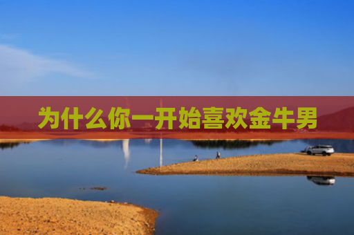 为什么你一开始喜欢金牛男
