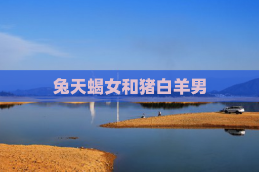 兔天蝎女和猪白羊男