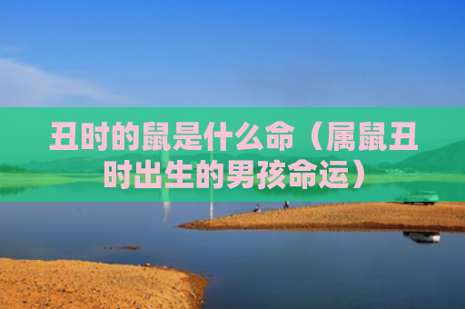 丑时的鼠是什么命（属鼠丑时出生的男孩命运）