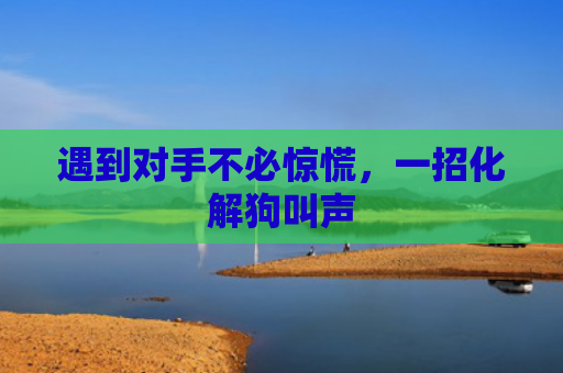 遇到对手不必惊慌，一招化解狗叫声
