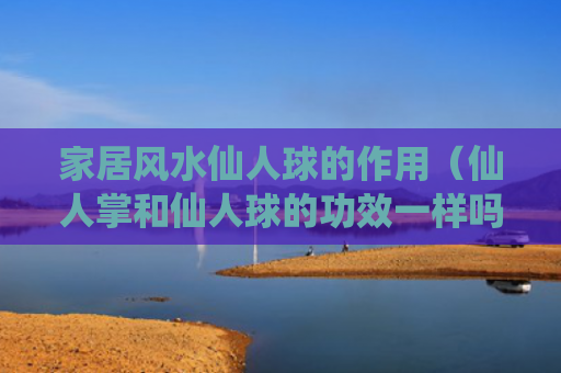 家居风水仙人球的作用（仙人掌和仙人球的功效一样吗）
