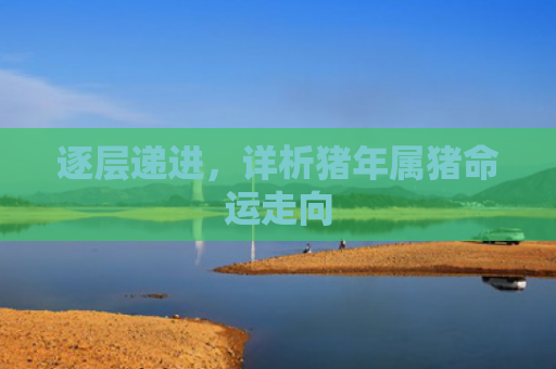 逐层递进，详析猪年属猪命运走向