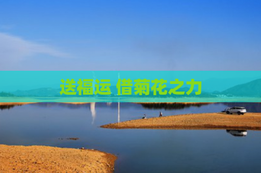 送福运 借菊花之力