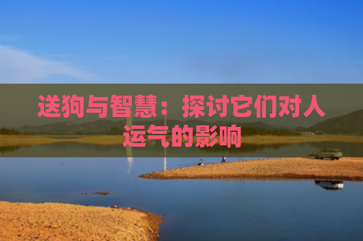 送狗与智慧：探讨它们对人运气的影响