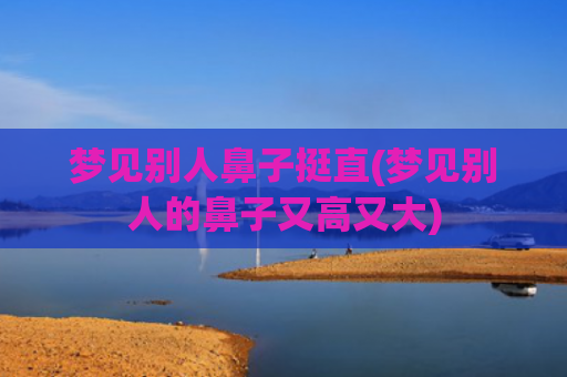 梦见别人鼻子挺直(梦见别人的鼻子又高又大)