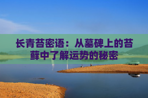 长青苔密语：从墓碑上的苔藓中了解运势的秘密