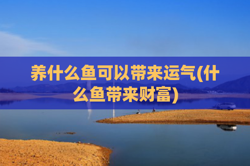 养什么鱼可以带来运气(什么鱼带来财富)