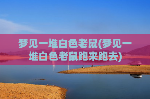 梦见一堆白色老鼠(梦见一堆白色老鼠跑来跑去)