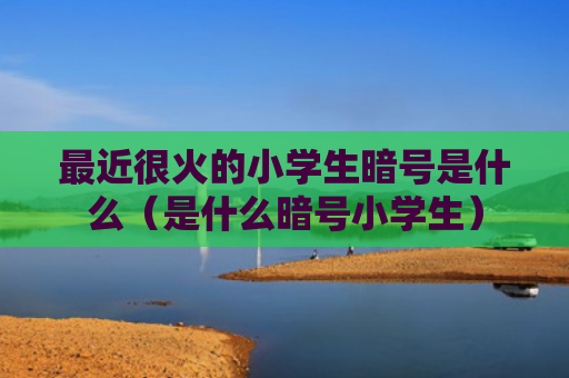 最近很火的小学生暗号是什么（是什么暗号小学生）