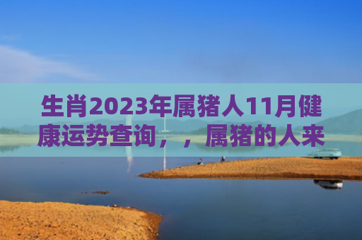 生肖2023年属猪人11月健康运势查询，，属猪的人来看看（运势查询属猪人生肖）