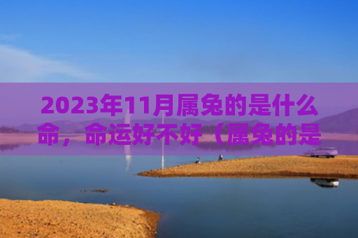 2023年11月属兔的是什么命，命运好不好（属兔的是什么命好不好命运）