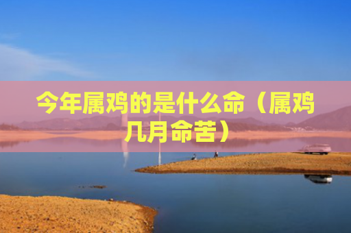今年属鸡的是什么命（属鸡几月命苦）