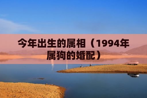 今年出生的属相（1994年属狗的婚配）