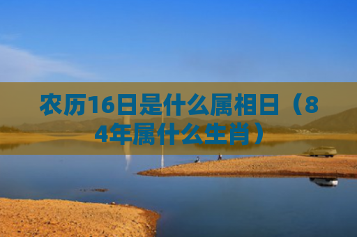 农历16日是什么属相日（84年属什么生肖）