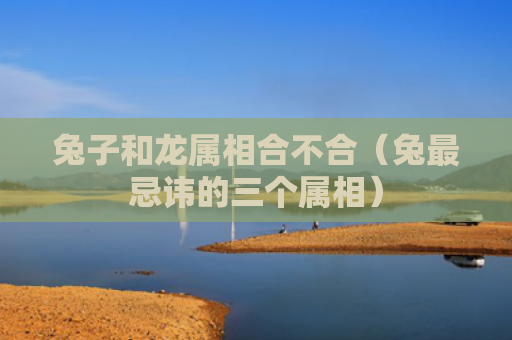 兔子和龙属相合不合（兔最忌讳的三个属相）
