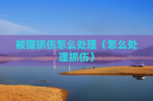 被猫抓伤怎么处理（怎么处理抓伤）