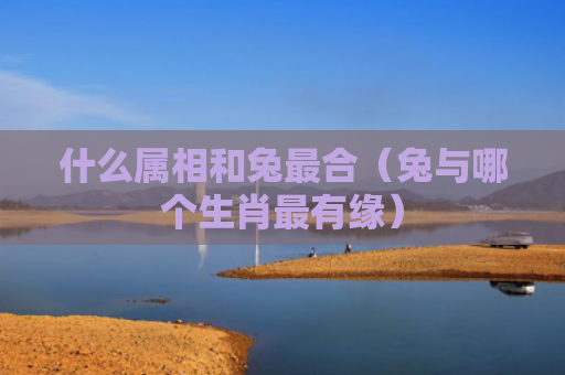 什么属相和兔最合（兔与哪个生肖最有缘）