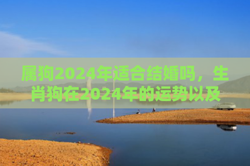 属狗2024年适合结婚吗，生肖狗在2024年的运势以及注意月份