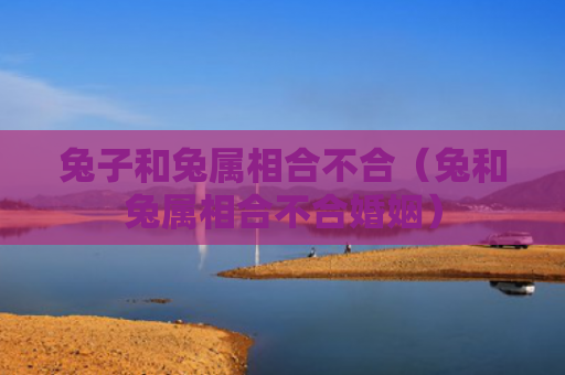 兔子和兔属相合不合（兔和兔属相合不合婚姻）