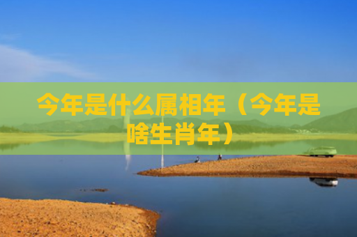 今年是什么属相年（今年是啥生肖年）