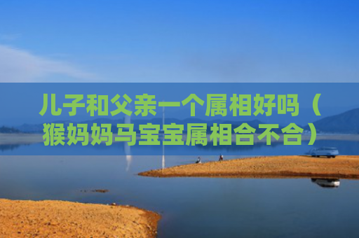 儿子和父亲一个属相好吗（猴妈妈马宝宝属相合不合）