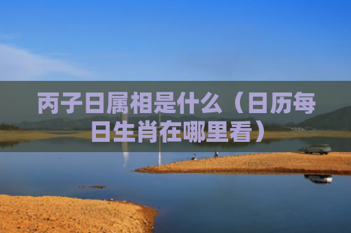 丙子日属相是什么（日历每日生肖在哪里看）