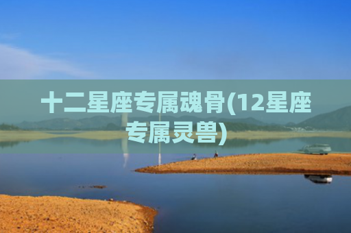 十二星座专属魂骨(12星座专属灵兽)