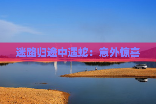 迷路归途中遇蛇：意外惊喜