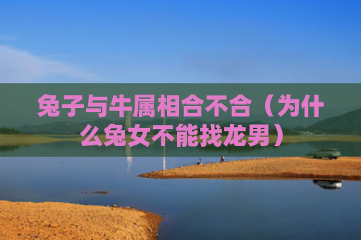 兔子与牛属相合不合（为什么兔女不能找龙男）