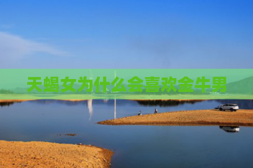 天蝎女为什么会喜欢金牛男