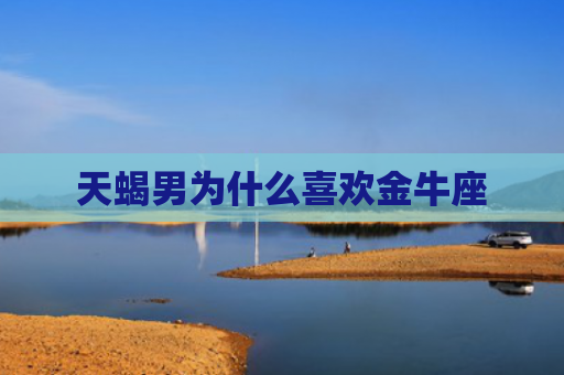 天蝎男为什么喜欢金牛座