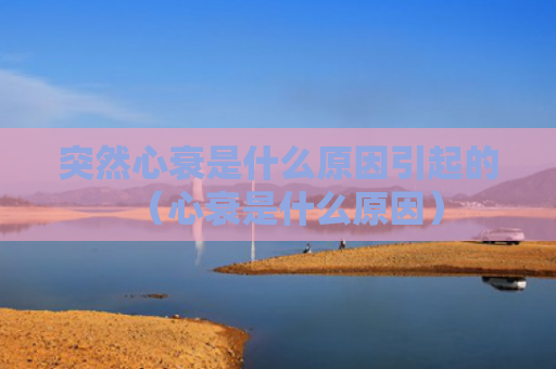 突然心衰是什么原因引起的（心衰是什么原因）