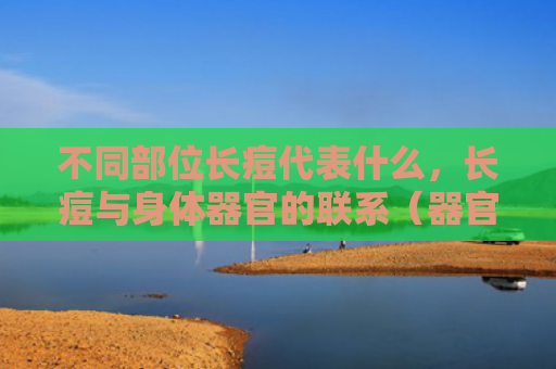 不同部位长痘代表什么，长痘与身体器官的联系（器官部位身体）