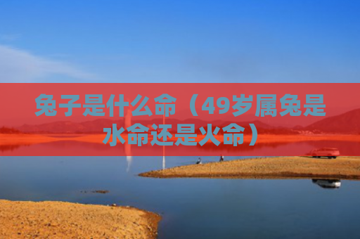 兔子是什么命（49岁属兔是水命还是火命）