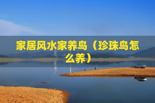 家居风水家养鸟（珍珠鸟怎么养）