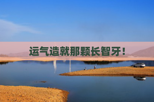 运气造就那颗长智牙！