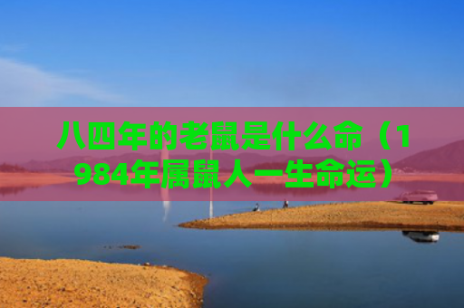 八四年的老鼠是什么命（1984年属鼠人一生命运）