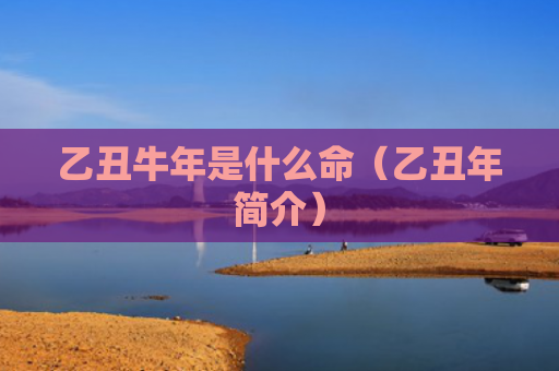 乙丑牛年是什么命（乙丑年简介）