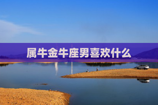 属牛金牛座男喜欢什么
