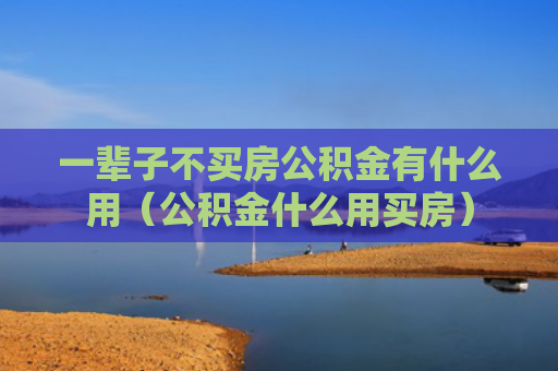 一辈子不买房公积金有什么用（公积金什么用买房）